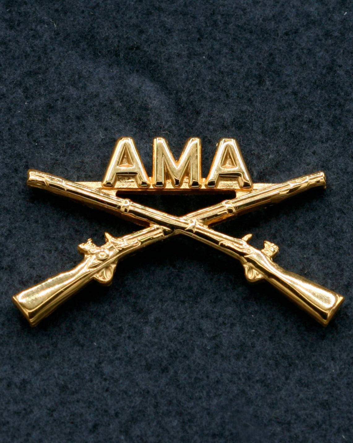 AMA Crossed Rifles Pin